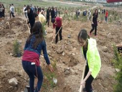 Gölbaşı’nda ağaç dikimi