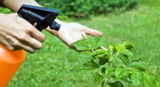 Bitki Koruma Ürünlerinde Elektronik Takip Başlıyo