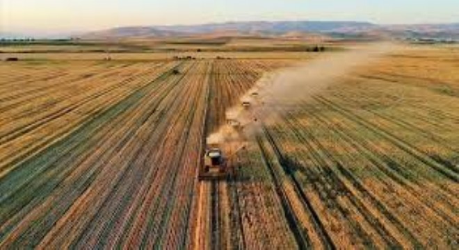 Tarım ÜFE Ocakta Aylık %8,46, Yıllık %43,58 Arttı