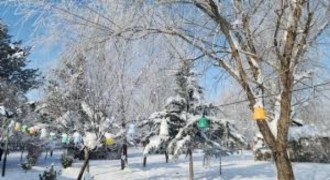 Doğu Anadolu’da Dondurucu Soğuklar Hayatı Olumsuz Etkiliyor